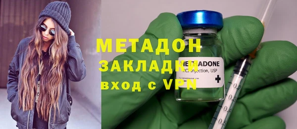 ГАЛЛЮЦИНОГЕННЫЕ ГРИБЫ Дмитриев