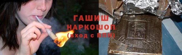ГАЛЛЮЦИНОГЕННЫЕ ГРИБЫ Дмитриев