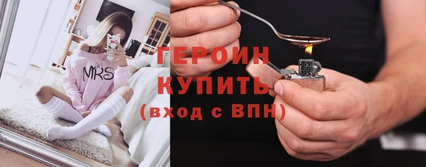 ГАЛЛЮЦИНОГЕННЫЕ ГРИБЫ Дмитриев