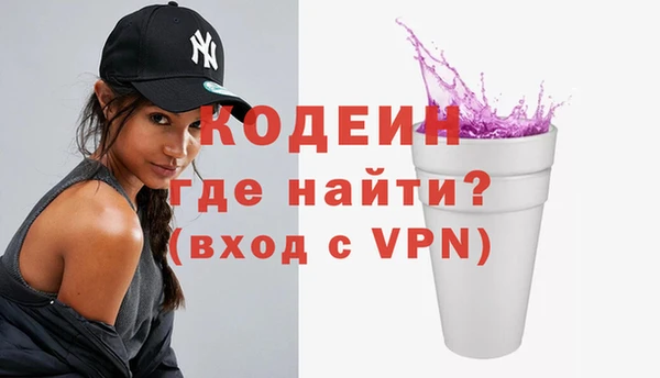 ГАЛЛЮЦИНОГЕННЫЕ ГРИБЫ Дмитриев