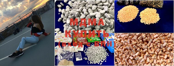 ГАЛЛЮЦИНОГЕННЫЕ ГРИБЫ Дмитриев