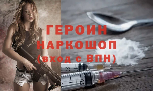 ГАЛЛЮЦИНОГЕННЫЕ ГРИБЫ Дмитриев