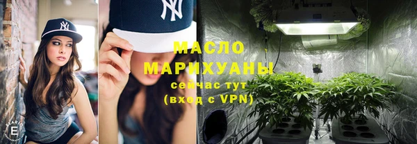 ГАЛЛЮЦИНОГЕННЫЕ ГРИБЫ Дмитриев