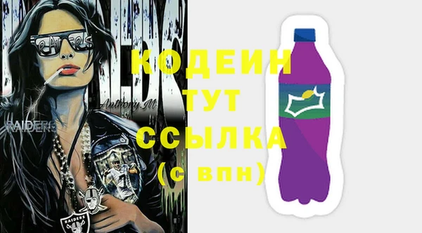 крисы Туринск
