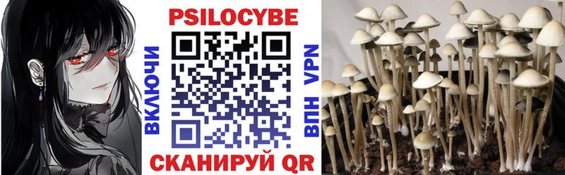 цены   Новая Ладога  Псилоцибиновые грибы Psilocybine cubensis 