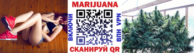 Шишки марихуана сатива  Новая Ладога 